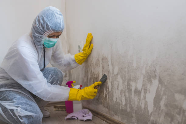 Best Crawl Space Mold Removal  in Salida Del Sol Estates, TX