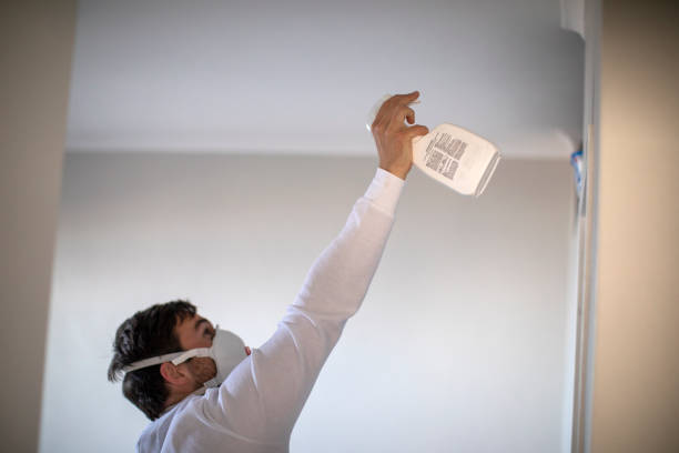Best Certified Mold Removal  in Salida Del Sol Estates, TX