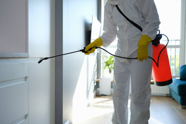Best Local Mold Removal Service  in Salida Del Sol Estates, TX
