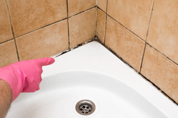 Best Professional Mold Removal  in Salida Del Sol Estates, TX